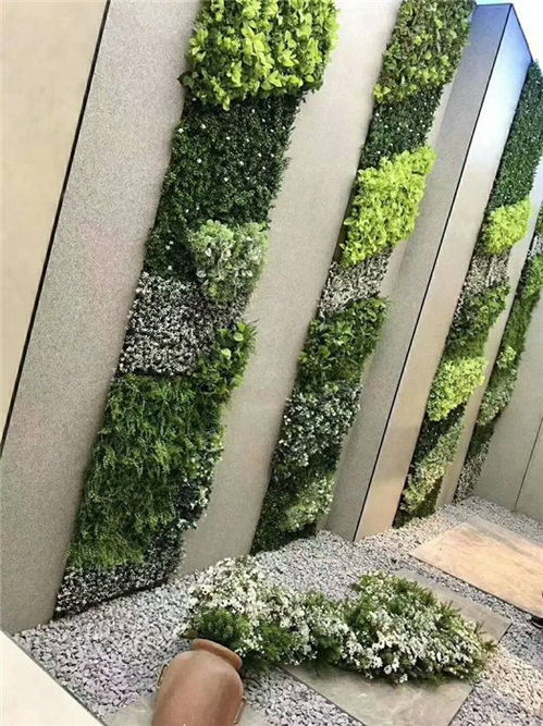 景观绿雕 美尚园艺植物墙安装 黔南绿雕